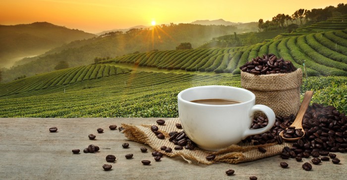 Commodity - Coffee demand, production and market summary