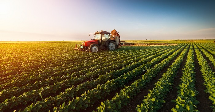Brazilian farmers growing soy, cutting cane