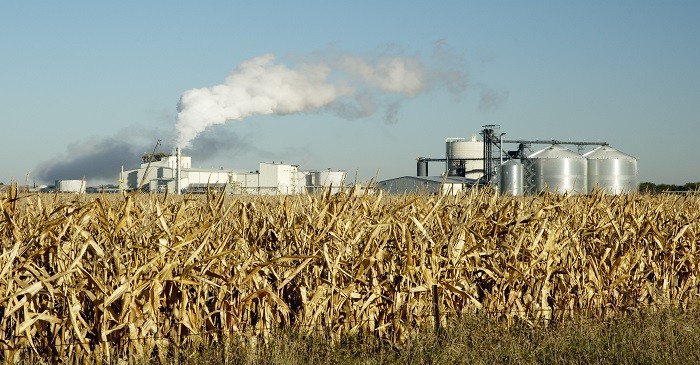Corn - Changes in bio fuel regulations to impact US farmers