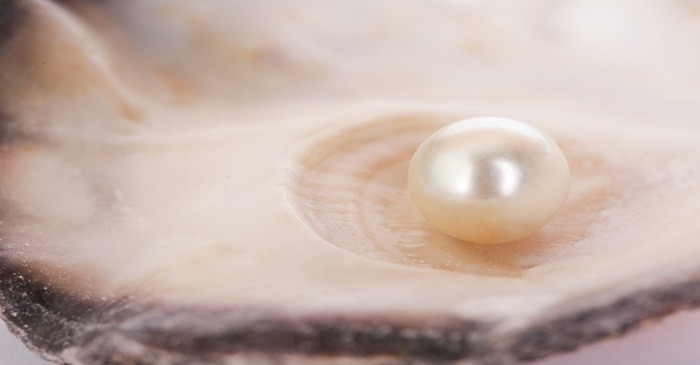 Investment strategies for pearl investment