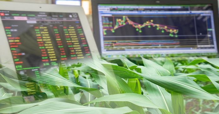 Investment in commodities