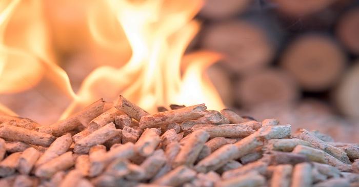 Concerns over the use of forest biomass