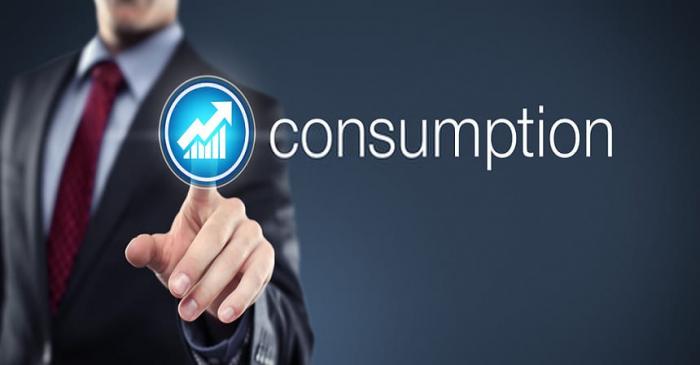 What Is Consumption
