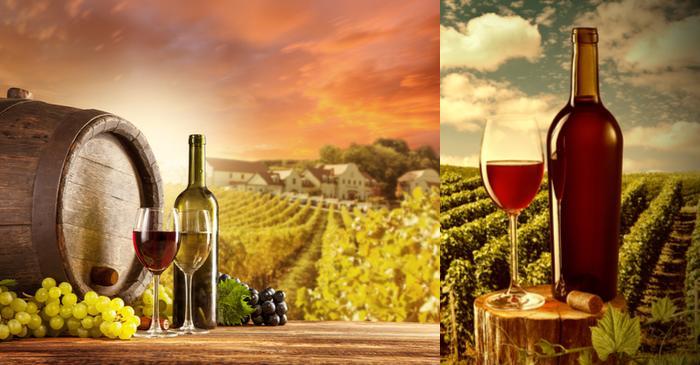 Alternatives investments – Fine Wine strategies and risks 