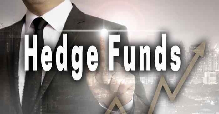 Factors Influencing Hedge Fund Gains 