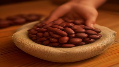 Cocoa Futures Volatility Escalates as West African Yields Face Structural Shifts
