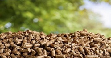 Biomass