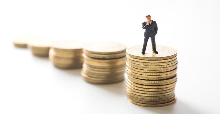 What is a guarantor ?