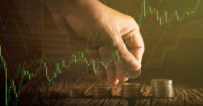 What does ex dividend date mean ?