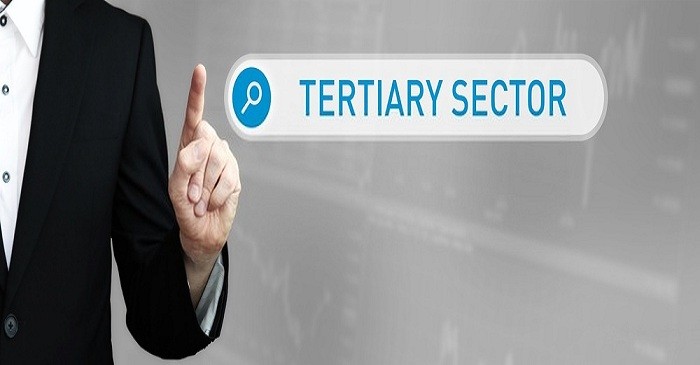 Tertiary Sector