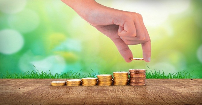 Capital Accumulation