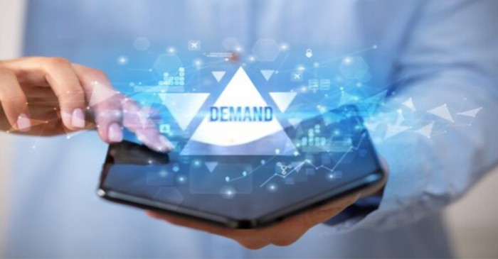 The elasticity of demand